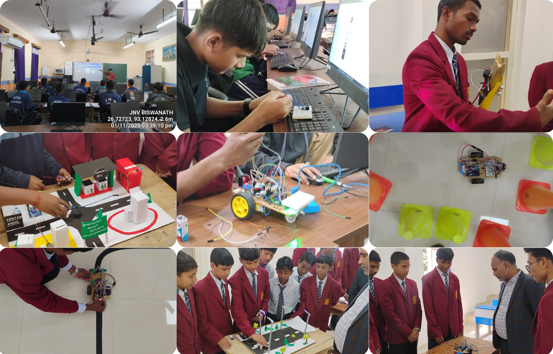 PM Shri JNV Biswanath